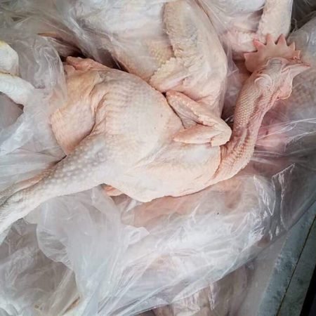 Gà nguyên con (đầu – chân- cổ)1,4 – 1,5kg|鶏頭付