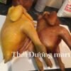 Gà hun khói nguyên con
